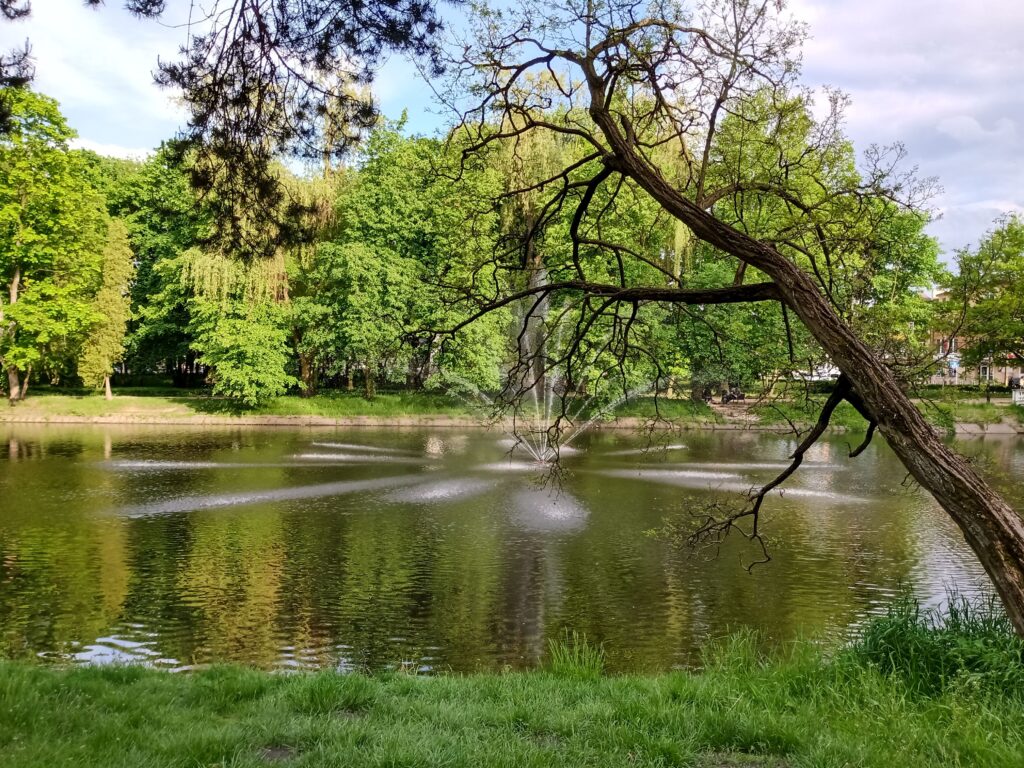 Park Dernałowiczów - Mińsk Mazowiecki