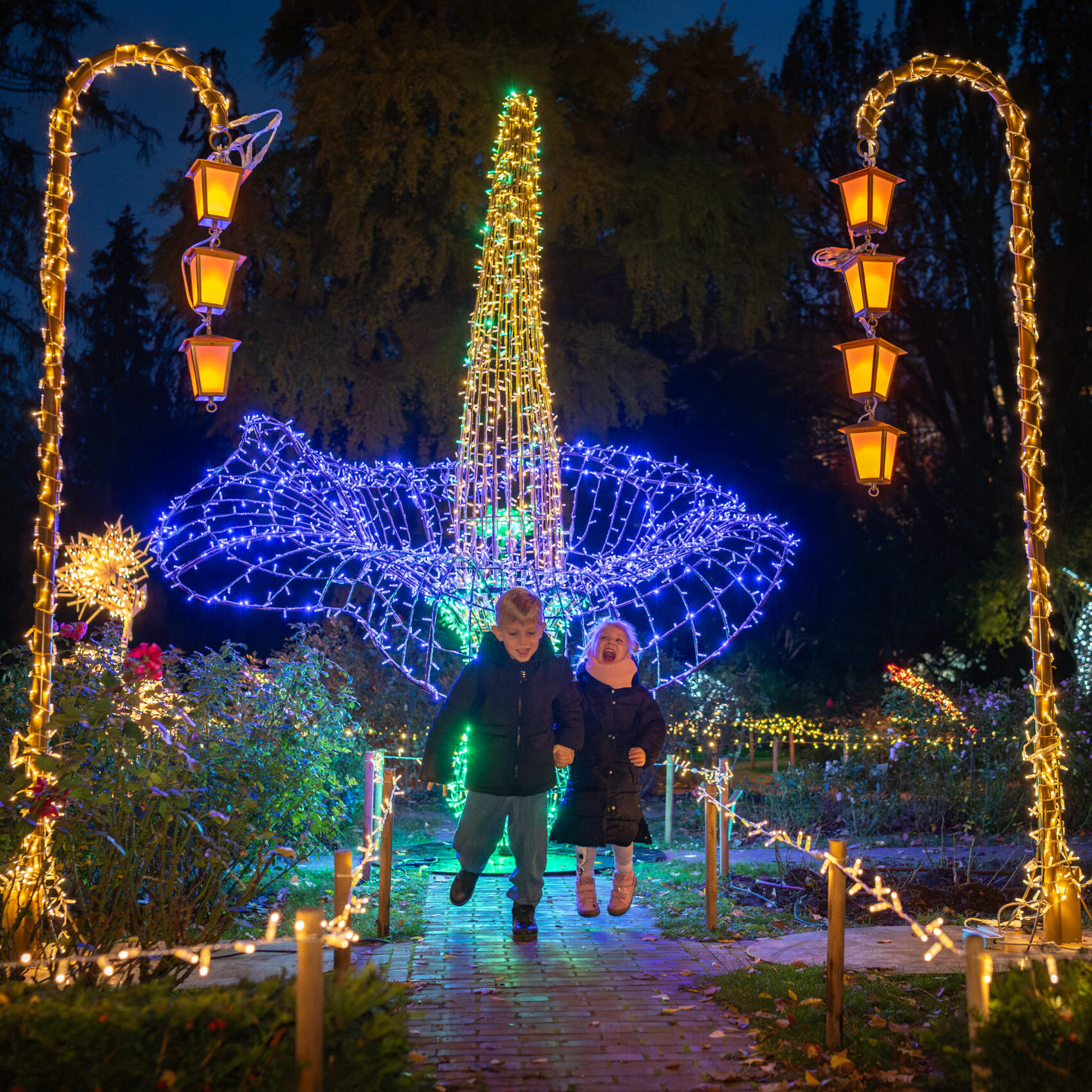 Iluminacja Magiczny Botaniczny w Warszawie